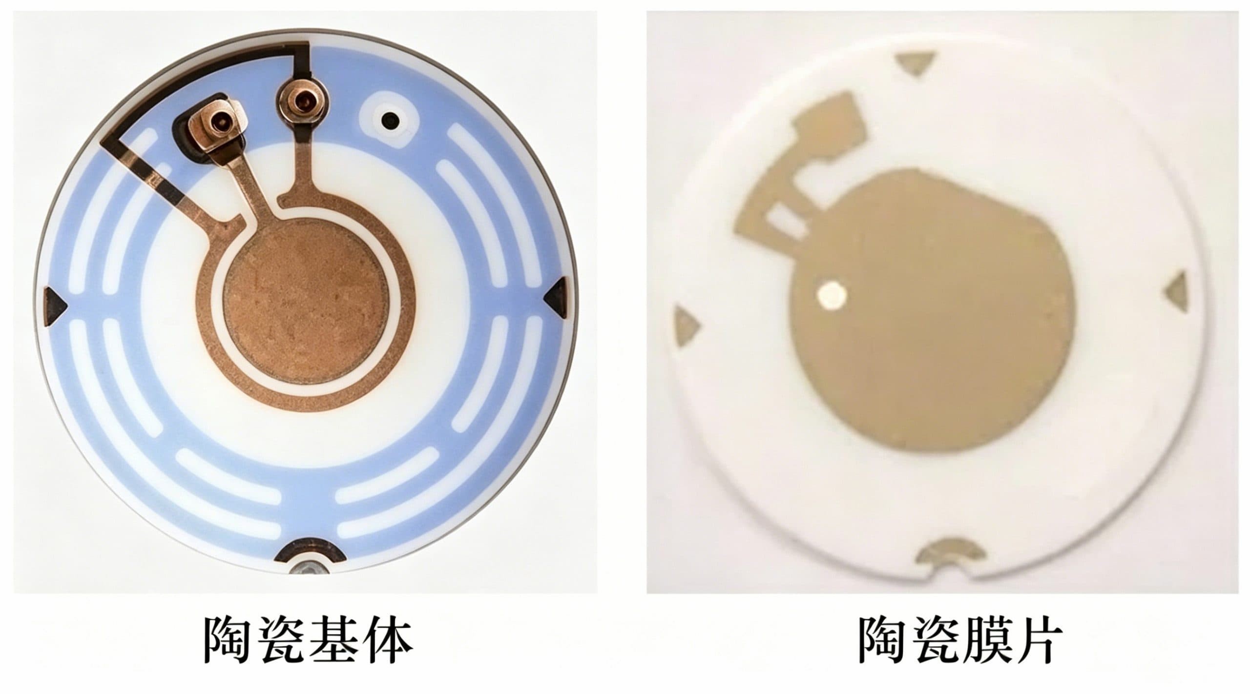 https://www.yuhaipyezo.com/wp-content/uploads/2026/09/19_b971ebda5d9fb49d-scaled-1.jpg